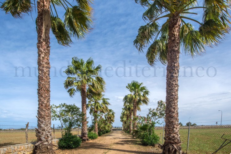 Property for Sale in Crestatx, Crestatx, Islas Baleares, Spain